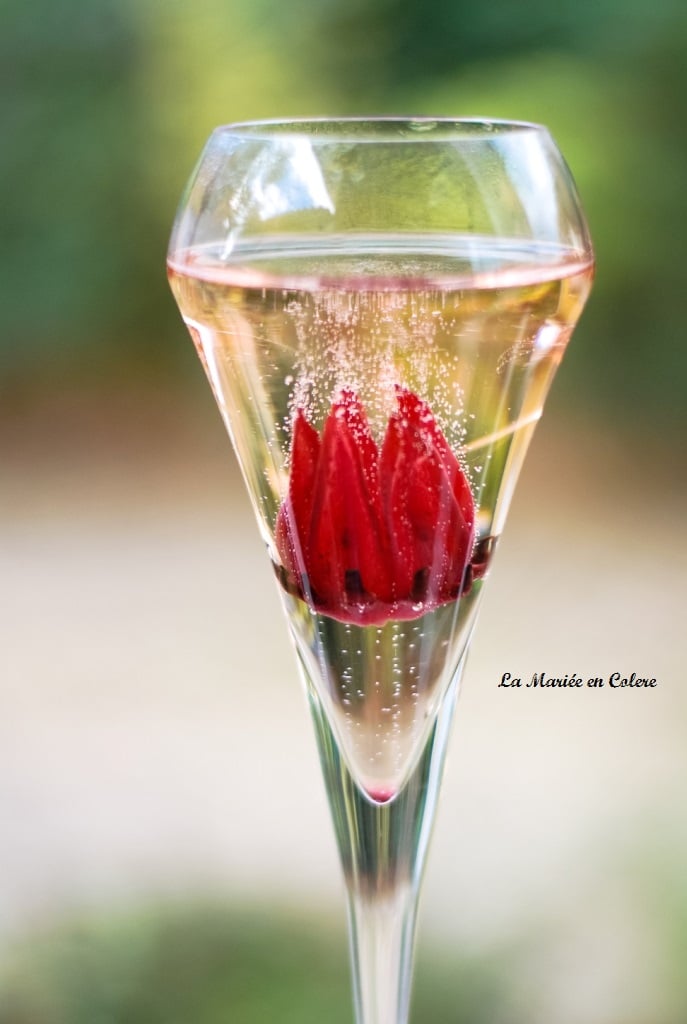 cocktail fleurs hibiscus champagne